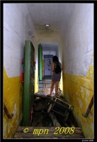 /album/blosien/dscn5564-jpg/