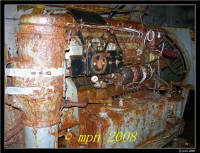 /album/blosien/dscn5585-jpg/