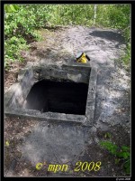 /album/blosien/dscn5595-jpg/