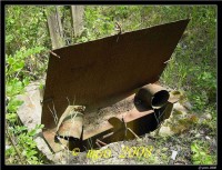 /album/blosien/dscn5598-jpg/