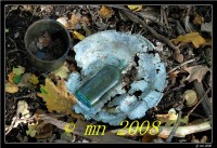 /album/schmorkau/dsc-0058-jpg/